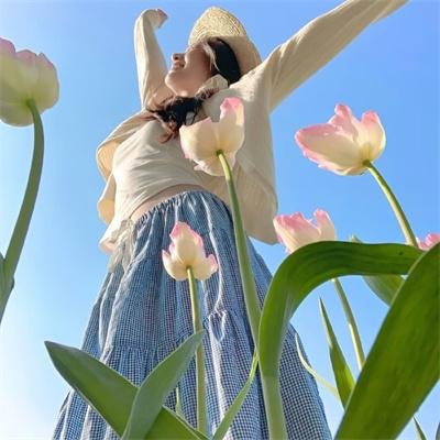 芝加哥匪帮